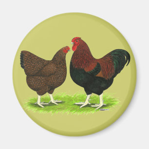 Wyandotte: Partridge Pair Magnet
