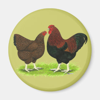 Wyandotte: Partridge Pair Magnet