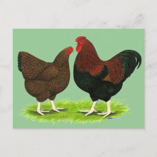 Wyandotte: Partridge Pair Postcard