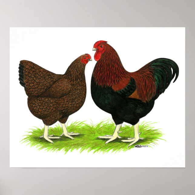 Wyandotte:  Partridge Pair Poster (Front)