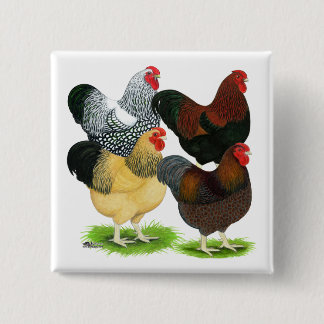 Wyandotte: Rooster Assortment 15 Cm Square Badge