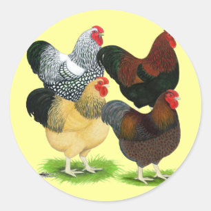 Wyandotte:  Rooster Assortment Classic Round Sticker