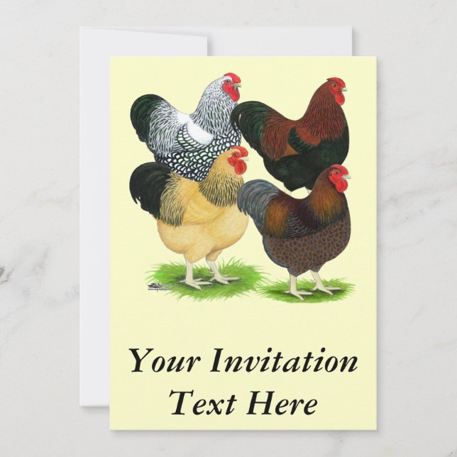 Wyandotte:  Rooster Assortment Invitation (Front)