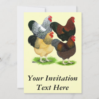 Wyandotte: Rooster Assortment Invitation