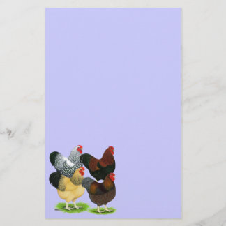 Wyandotte: Rooster Assortment Stationery