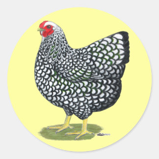 Wyandotte: Silver-laced Hen Classic Round Sticker