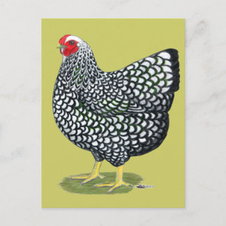 Wyandotte: Silver-laced Hen Postcard