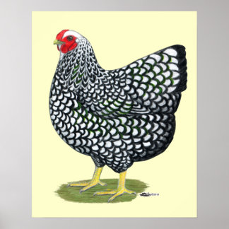 Wyandotte: Silver-laced Hen Poster