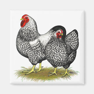 Wyandotte:  Silver Pair Magnet