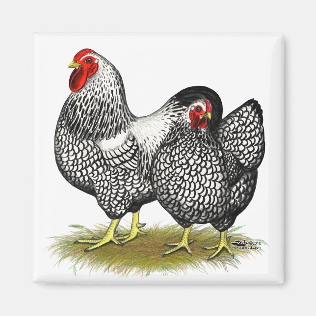 Wyandotte:  Silver Pair Magnet (Front)