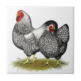 Wyandotte: Silver Pair Tile