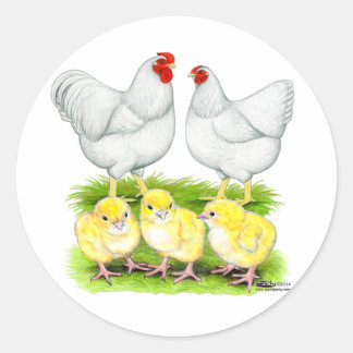 Wyandotte White Chicken Family Classic Round Sticker