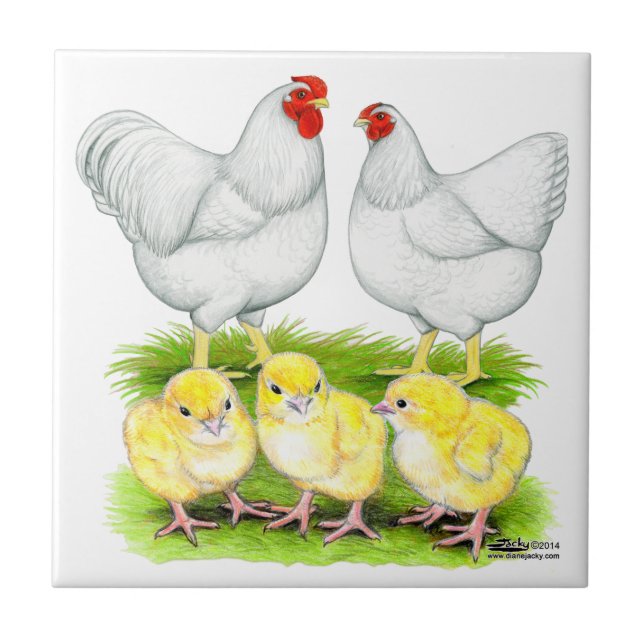 Wyandotte White Chicken Family Tile (Front)