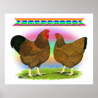 Wyandottes: Golden-laced Rainbow Poster