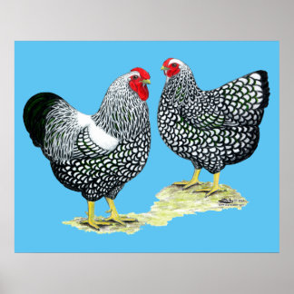 Wyandottes Silver-laced Pair Poster