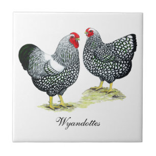 Wyandottes Silver-laced Pair Tile