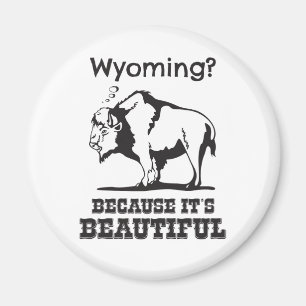 Wyoming? Because It's Beautiful Magnet