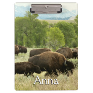 Wyoming Bison Clipboard