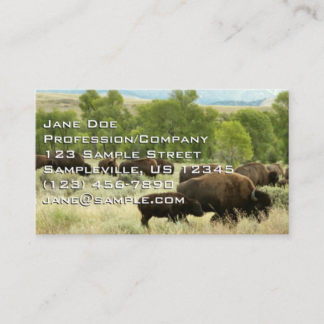 Wyoming Bison Nature Animal Photography Business Card (Front)