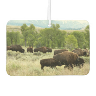 Wyoming Bison Nature Animal Photography Car Air Freshener