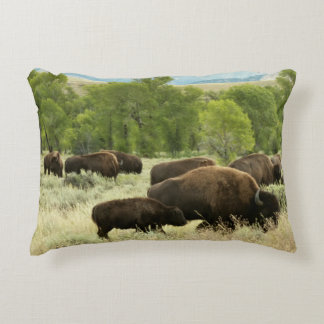 Wyoming Bison Nature Animal Photography Decorative Cushion