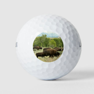 Wyoming Bison Nature Animal Photography Golf Balls