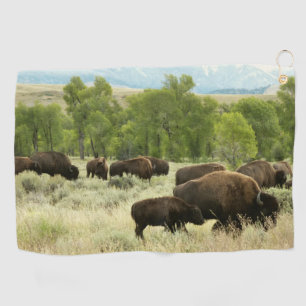 Wyoming Bison Nature Animal Photography Golf Towel
