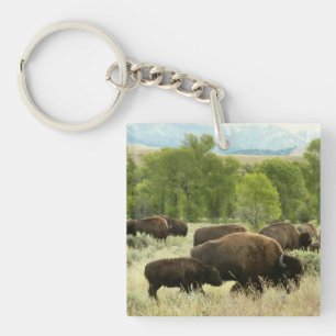 Wyoming Bison Nature Animal Photography Key Ring