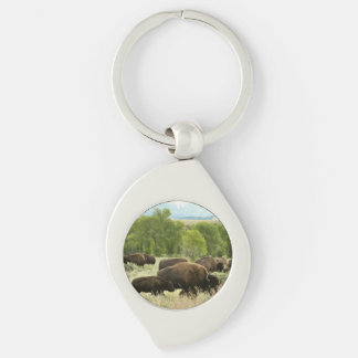 Wyoming Bison Nature Animal Photography Key Ring