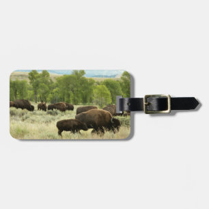 Wyoming Bison Nature Animal Photography Luggage Tag