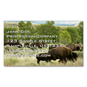 Wyoming Bison Nature Animal Photography Magnetic Business Card