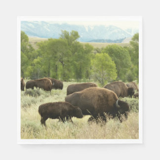 Wyoming Bison Nature Animal Photography Napkin