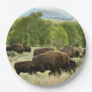 Wyoming Bison Nature Animal Photography Paper Plate