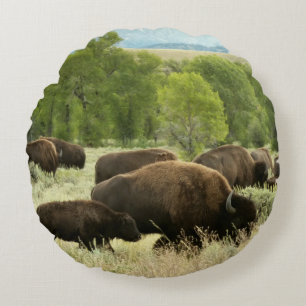 Wyoming Bison Nature Animal Photography Round Cushion