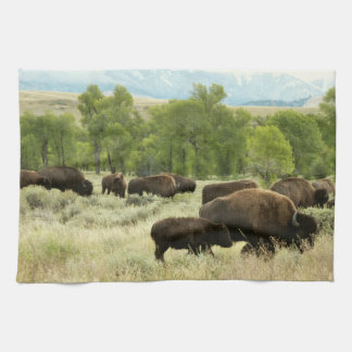 Wyoming Bison Nature Animal Photography Tea Towel