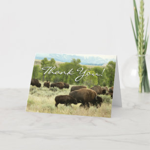Wyoming Bison Nature Animal Photography Thank You Card