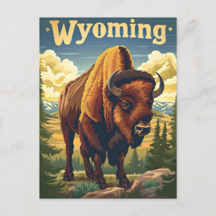 Wyoming Bison Postcard