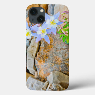 Wyoming, Grand Teton National Park 1 iPhone 13 Case