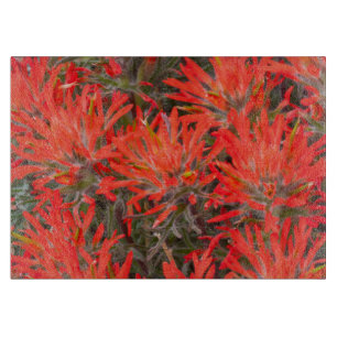 Wyoming, Lincoln County, Desert Paintbrush Cutting Board