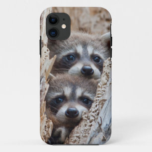 Wyoming, Lincoln County, Racoon Case-Mate iPhone Case