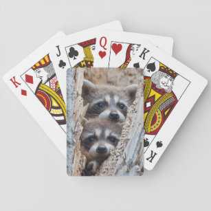 Wyoming, Lincoln County, Racoon Playing Cards