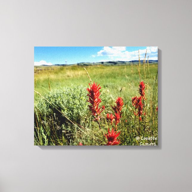 Wyoming Meadow in Summer2 Canvas Print (Front)