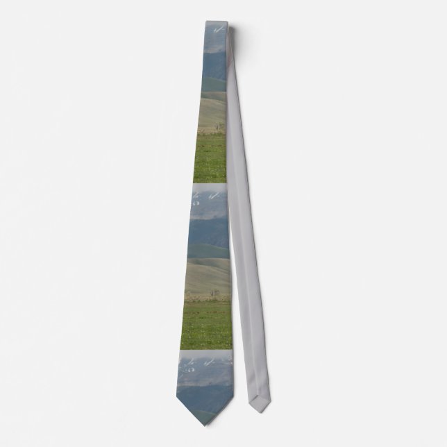 Wyoming Mountain Scene Necktie (Front)