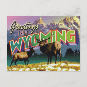 Wyoming Postcard