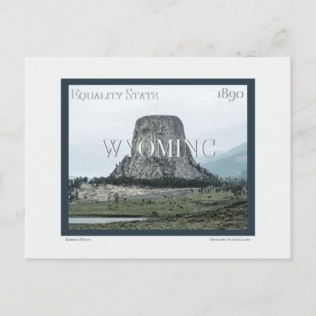 Wyoming Poster Postcard (Front)