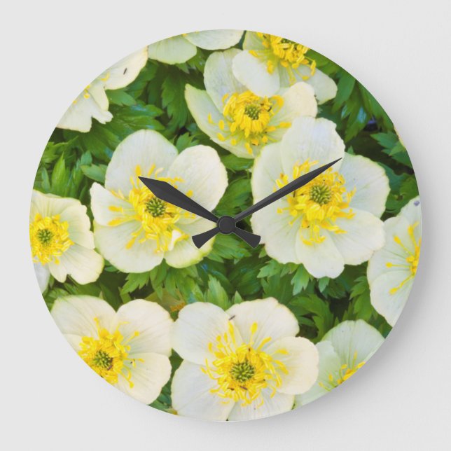 Wyoming, Sublette County, Close-up of a group Large Clock (Front)
