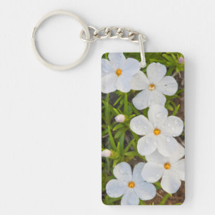 Wyoming, Sublette County, Close-up of Phlox Key Ring