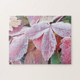 Wyoming, Sublette County, Close-up of red Wild Jigsaw Puzzle