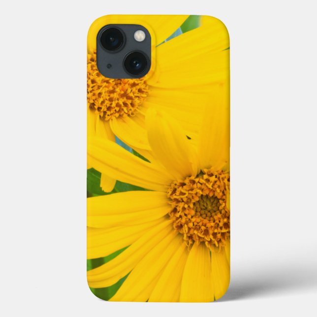 Wyoming, Sublette County, Close-up of two Arrow Case-Mate iPhone Case (Back)