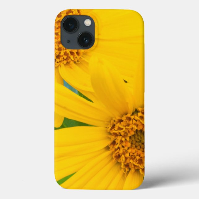 Wyoming, Sublette County, Close-up of two Arrow Case-Mate iPhone Case (Back)